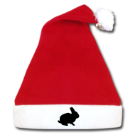 Weihnachtshase+-+Weihnachtsmannm%C3%BCtze%21